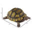 Beckett Turtle Statue