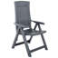 Isabela Plastic / Resin Folding Chair Set-1751718587
