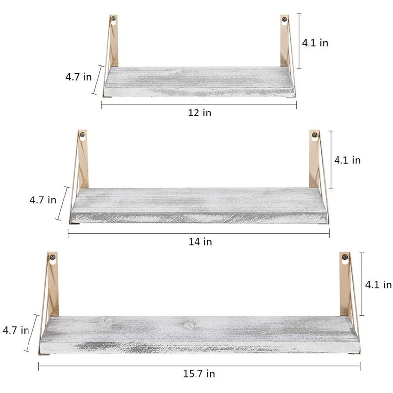 Belle-Isle 3 Piece Floating Shelf