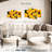 Harnek Mexican Marigold Flowers-108905504