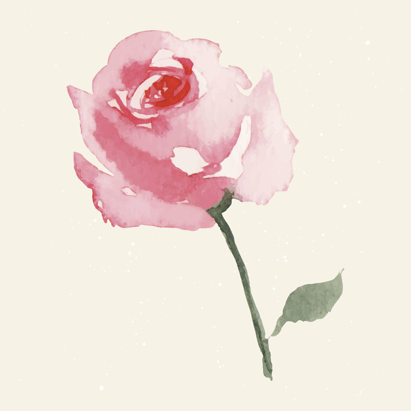 Enrico Rose - peinture sur toile tendue, H 20 po x l 20 po