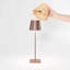 Poldina Wicker Shade-684690617-702328528