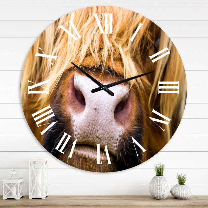 Gros plan sur un bovin Highland en Écosse - horloge murale de ferme, Surdimensionné