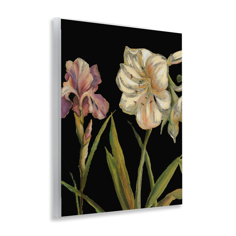 «Iris Flowers on Black» par Patricia Pinto