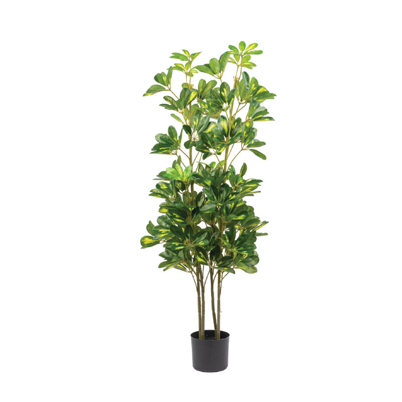 Artificial 47" Schefflera Indr&otdr