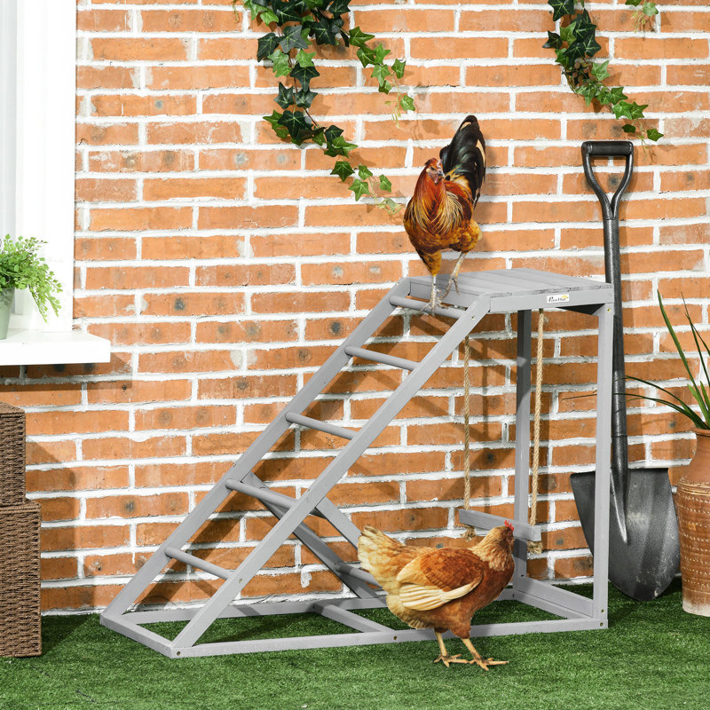 Équipement de jeu pour poulets - gris pour balançoire et perchoir