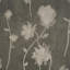 Papier peint Schumacher X Backdrop avant minuit-114576173