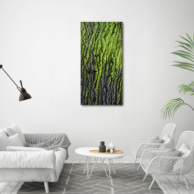 Tree Bark - Wrapped Canvas Print