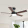 Vaczon 48" 5 - Blade Modern Ceiling Fan with LED Lights and Remote Control
