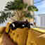 Photos des clients 2 de 3