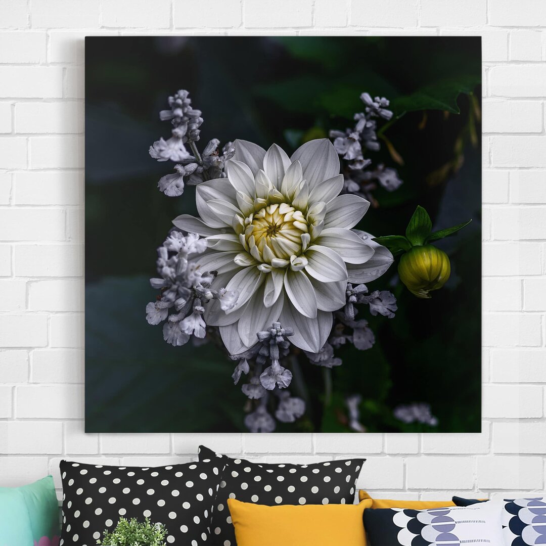 Leinwandbild White Dahlia