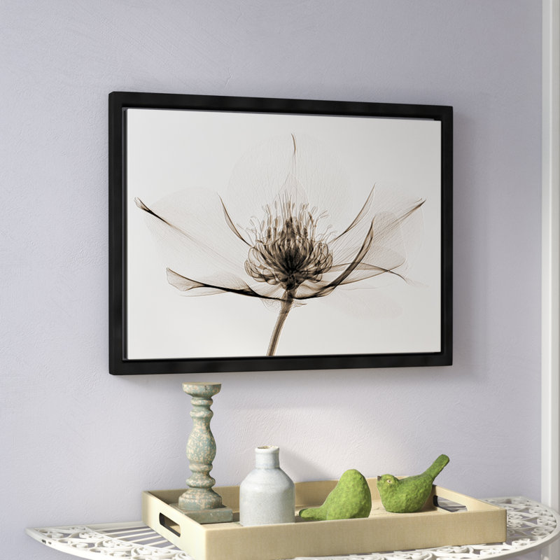Hellebore I, impression sur toile tendue, H 24 po x l 32 po x P 2 po