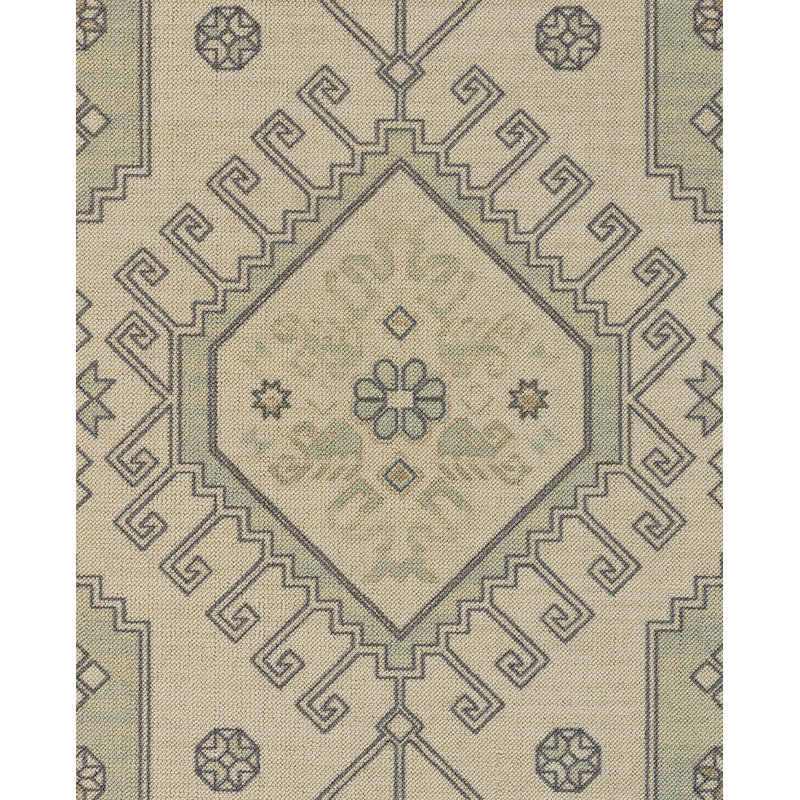 Aldona Oriental Indoor Rug, Rectangle 7'9" x 9'10"