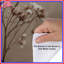 Housses de couette beige à fleurs de magnolia-128699874