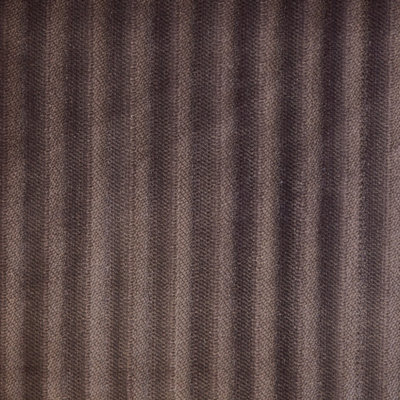 Tissu d'ameublement Hayworth Drapery