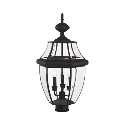 Arelene Lantern Head