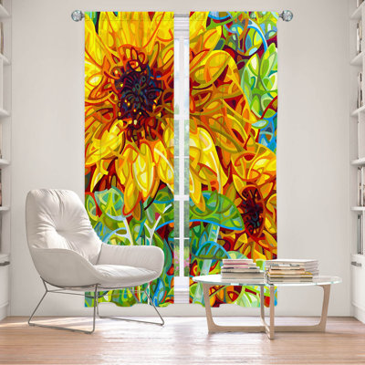 Room Darkening Curtain Pair