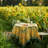 Daronta Round Tablecloth-86865862-86865863