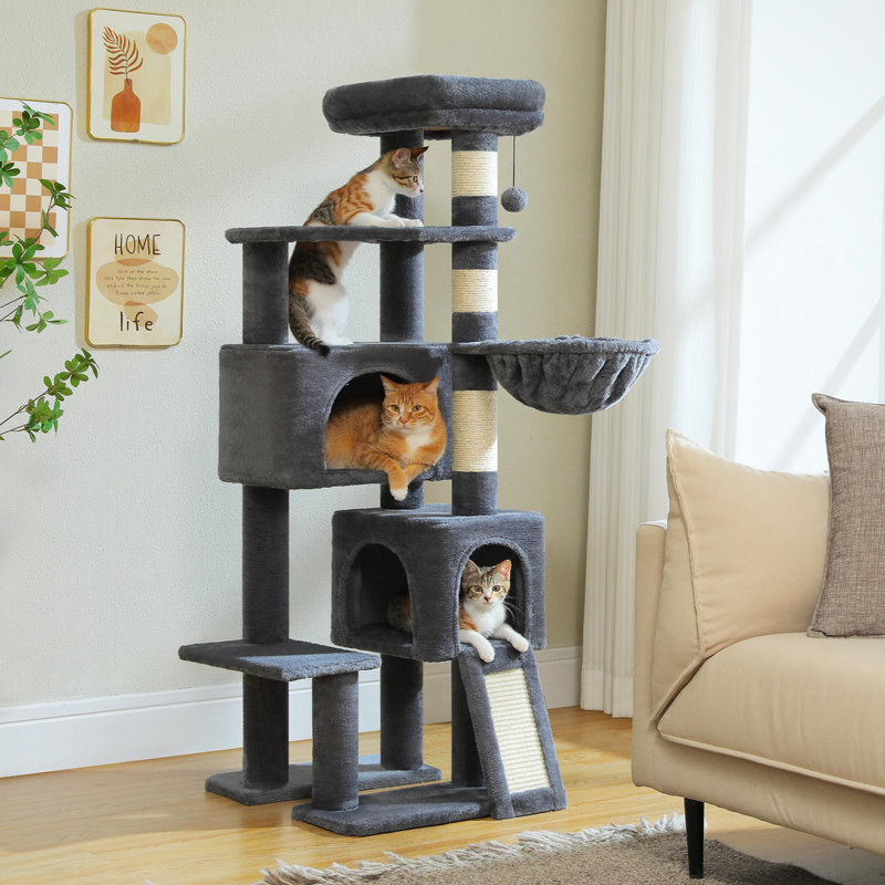 Arbre à chat, Gris foncé