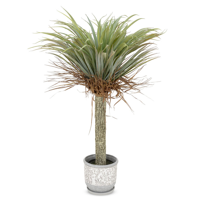 105 cm H Faux Yucca Plant in Plastic Pot