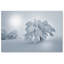 «A Cold Winter Morning» par Philippe Sainte-Laudy - reproduction de photo sur toile tendue-23093347