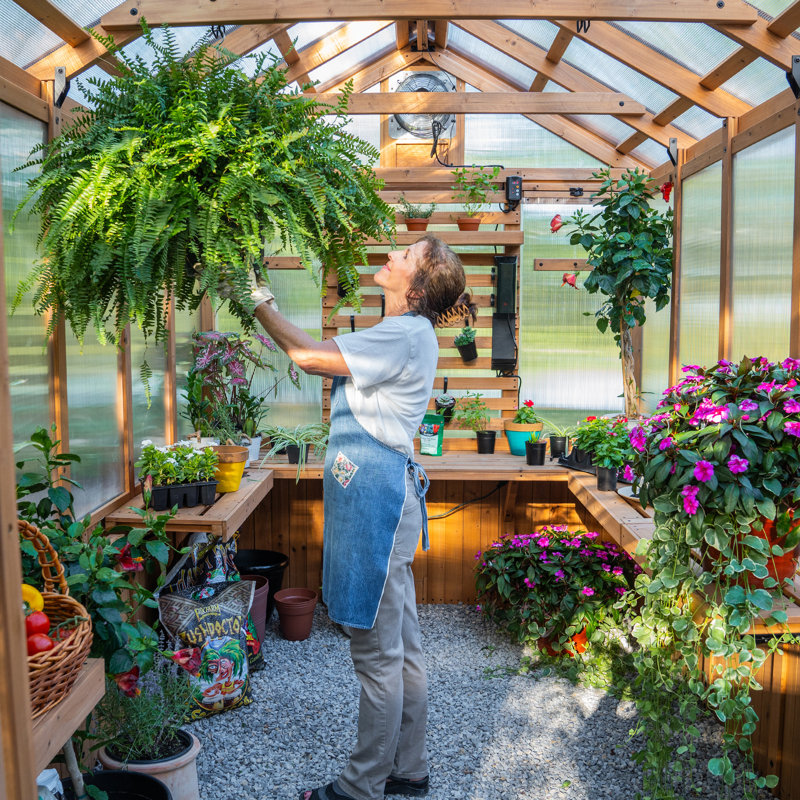 Backyard Discovery Bellerose 11' x 7' Cedar Wood and Polycarbonate Walk-In Outdoor Greenhouse Kit with Pergola