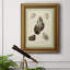 Ex-libris coquillages - Impression-1827457343