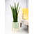 Vert clair / naturel est en rupture de stock