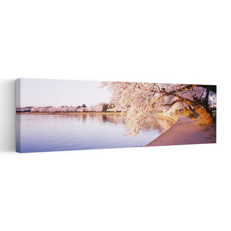 Tidal Basin Washington DC District Of Columbia USA by Jerry Driendl Photography - Wrapped Canvas Panoramic Print