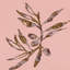 Softsesonno01 Print by Other Artist-653470488-653470484-653470492