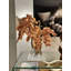 16" Glass Moon Vase With Light Brown Orchids And Driftwood-47831853