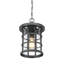 Bedhelm Outdoor Hanging Lantern