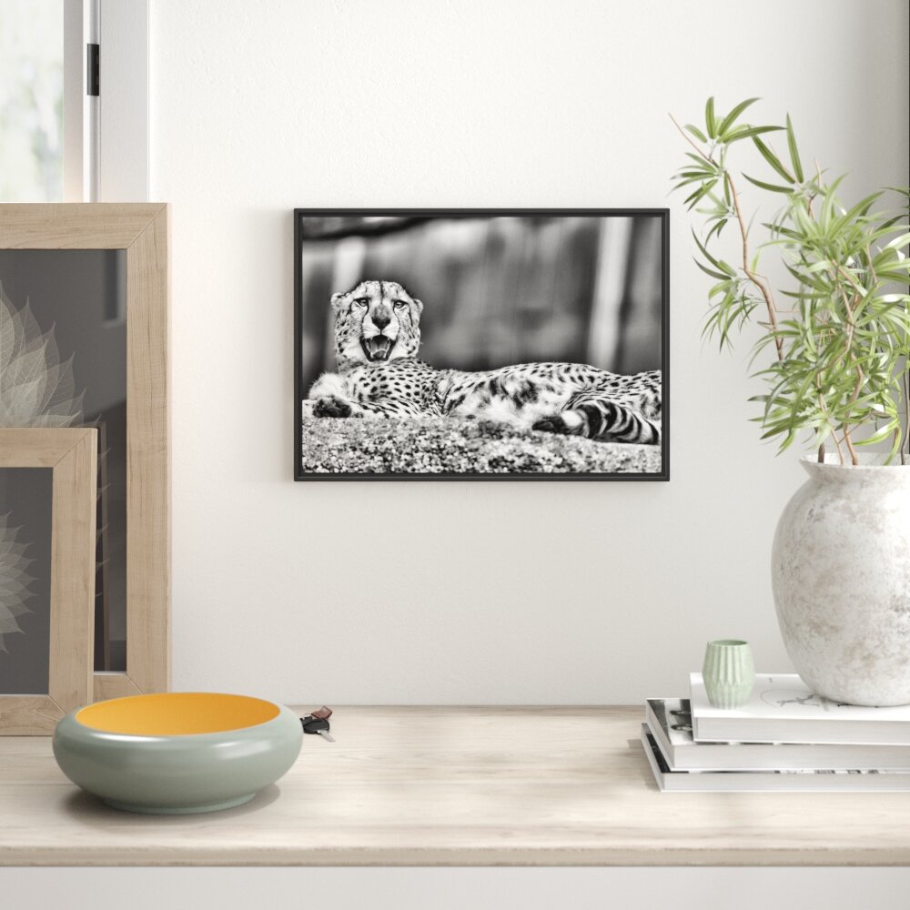 Gerahmtes Wandbild schlafender Gepard