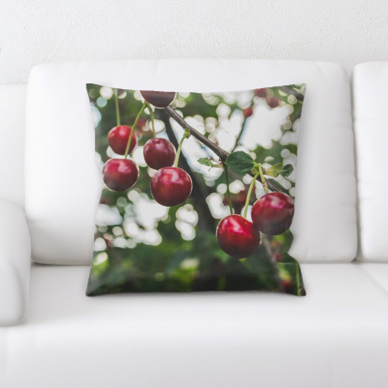 Coussin en cerises