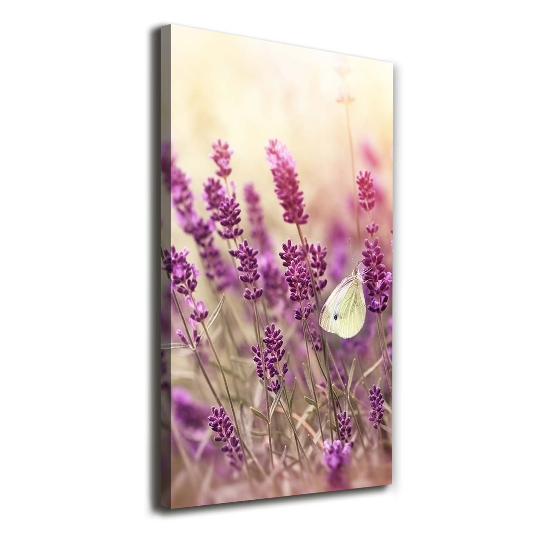 Lavendelblüten - Kunstdrucke auf Leinwand - Wrapped Canvas