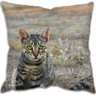 Crowland Square Throw Cushion