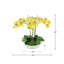 Orchids Arranged in Fiberstone Planter-1808265651