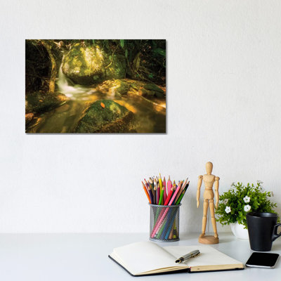 Tropical Forest XVII by Glauco Meneghelli - Wrapped Canvas Print