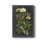 Bookplate Floral I - Wrapped Canvas Print-353283879