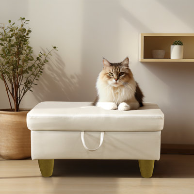 Repose-pieds multifonctionnel en similicuir blanc cassé avec compartiment de rangement caché