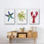Homard, impression sur toile 3 pièces-91891002-91891003