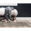 Tapis à motif géométrique gris Corando-40284705