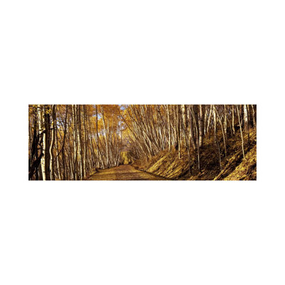 Road Passing Through A Forest - Wrapped Canvas Panoramic Print