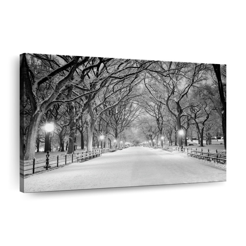Wintry Central Park - Impression sur toile tendue, H 16 po x l 24 po x P 1,25 po