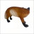 Realistic Red Fox Figurine