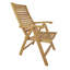 Carina Outdoor Teak Lounge Chair