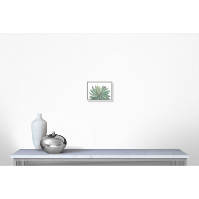 «Succulent - Floater Frame», reproduction d'art sur toile