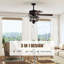 Edenfield 50'' Ceiling Fan with Light Kit