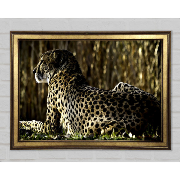 Ebern Designs Resting Cheetah - Single Picture Frame Print | Wayfair.co.uk
