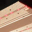 Phantom Cultivar Grow Light-98664037